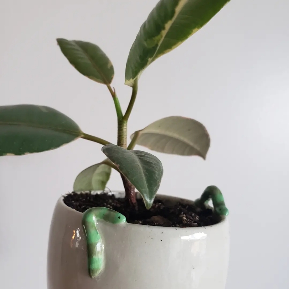 Inchworm flowerpot - Picture 2 of 3